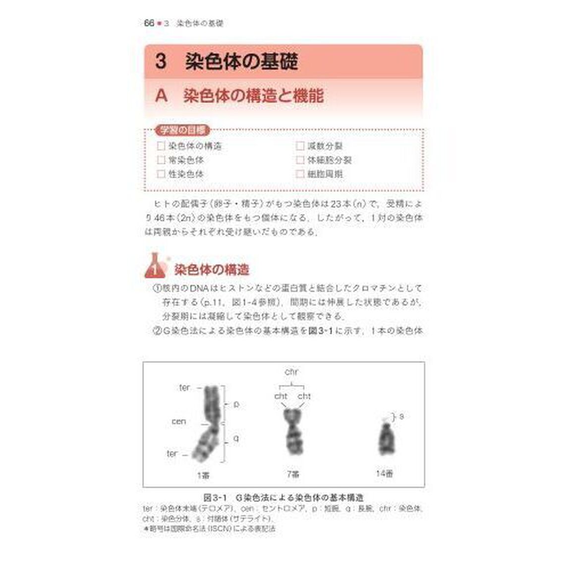 遺伝子関連・染色体検査学「第２版」