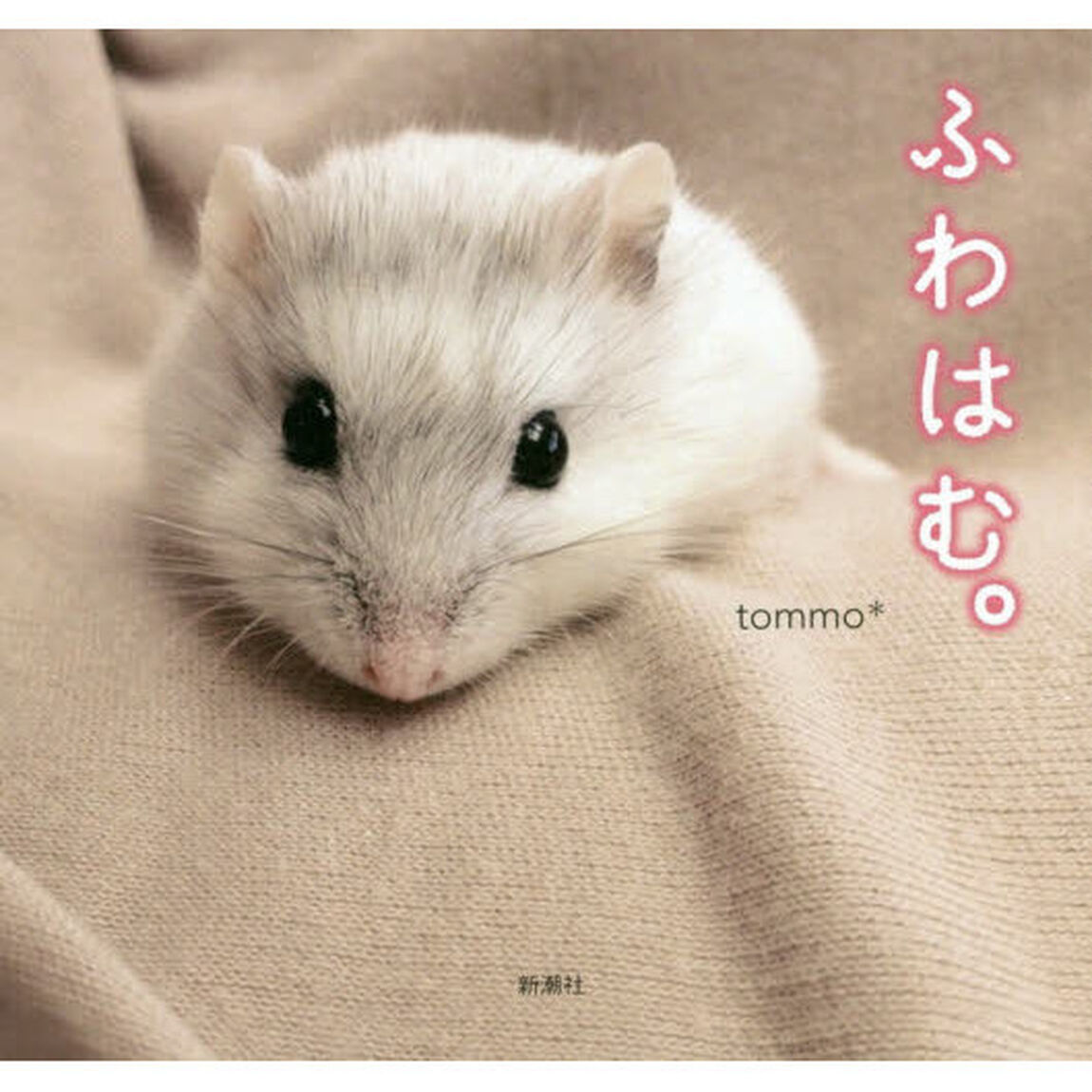 ふわはむ。