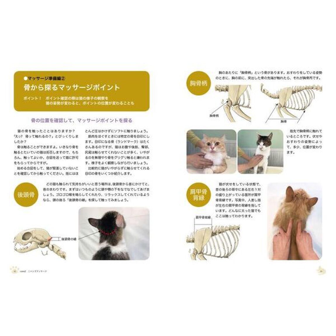 １日３分！おうちで出来るニャンズケア＆マッサージ