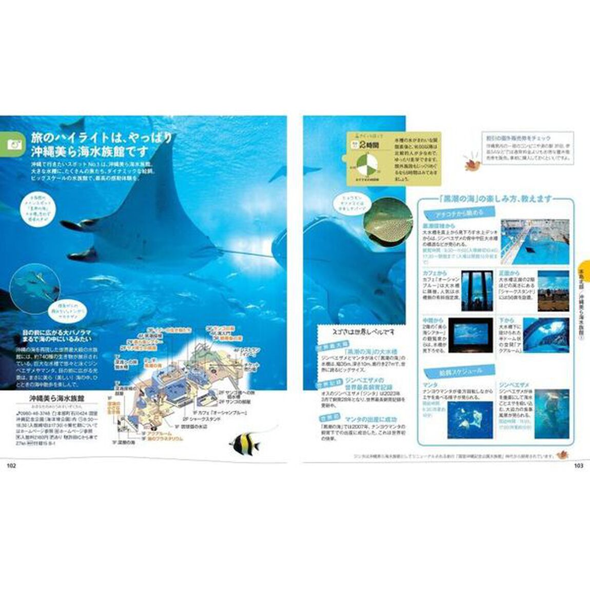 沖縄「５版」