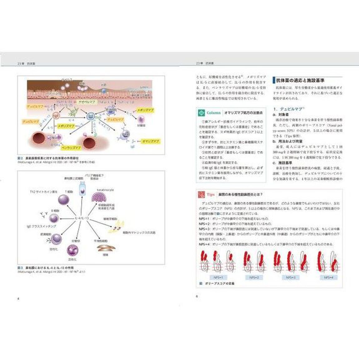 プラクティス耳鼻咽喉科の臨床　４「めまい診療ハンドブック　最新の検査・鑑別診断と治療」