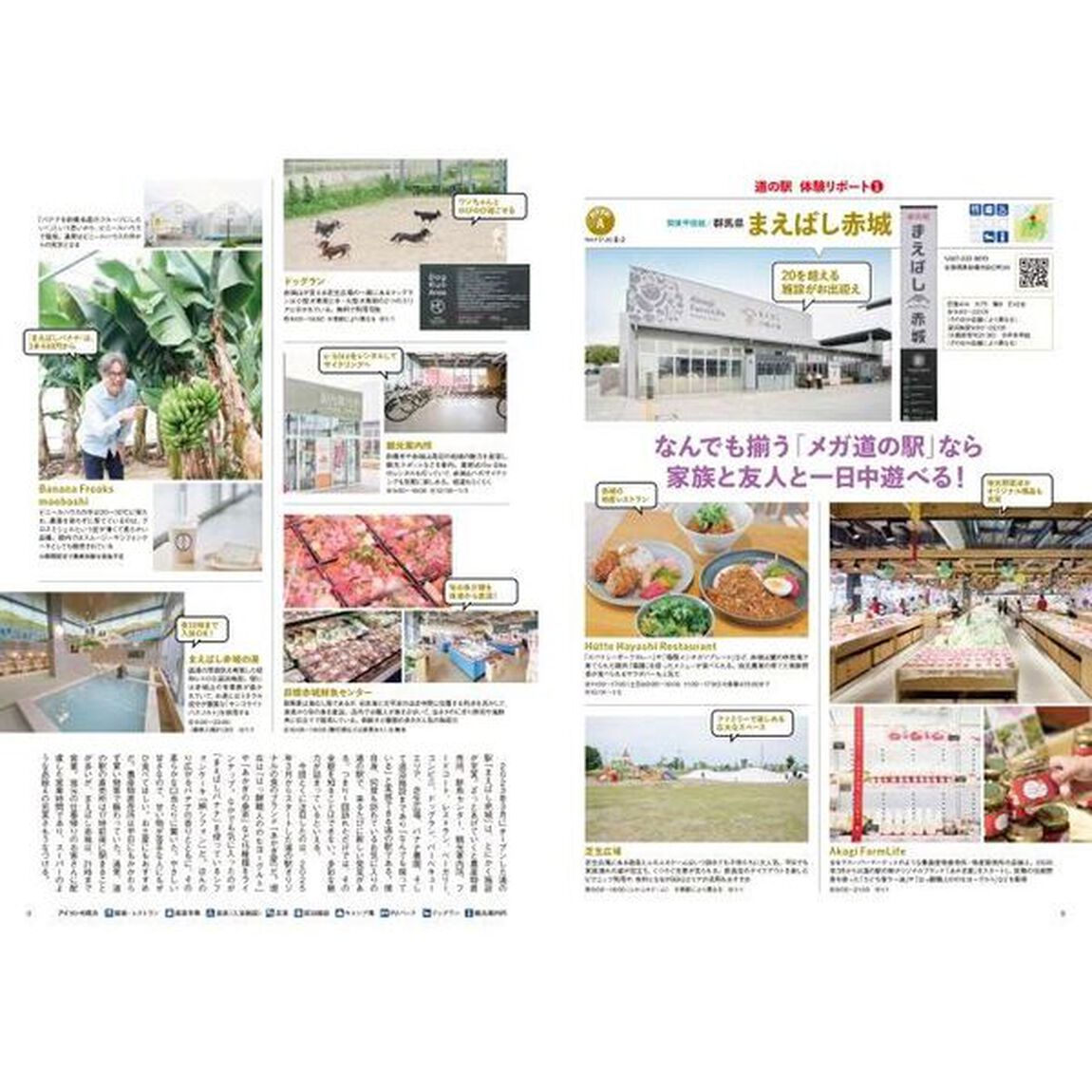 道の駅コンプリートガイド　２０２６