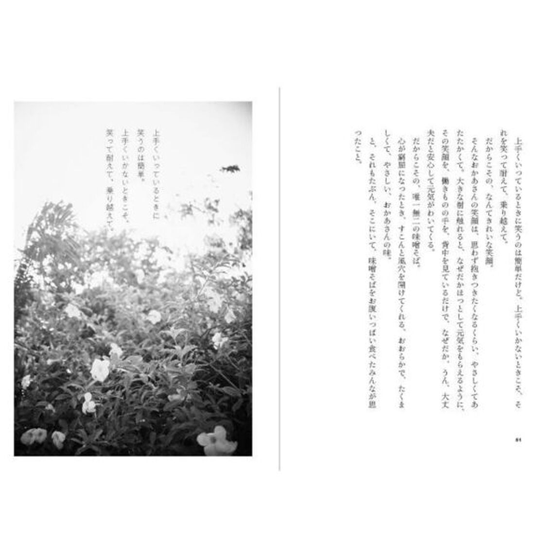 八重山おばぁのぬちぐすい うつくしく生きるちからと、いのちのくすり