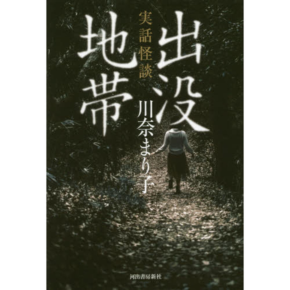 出没地帯　実話怪談