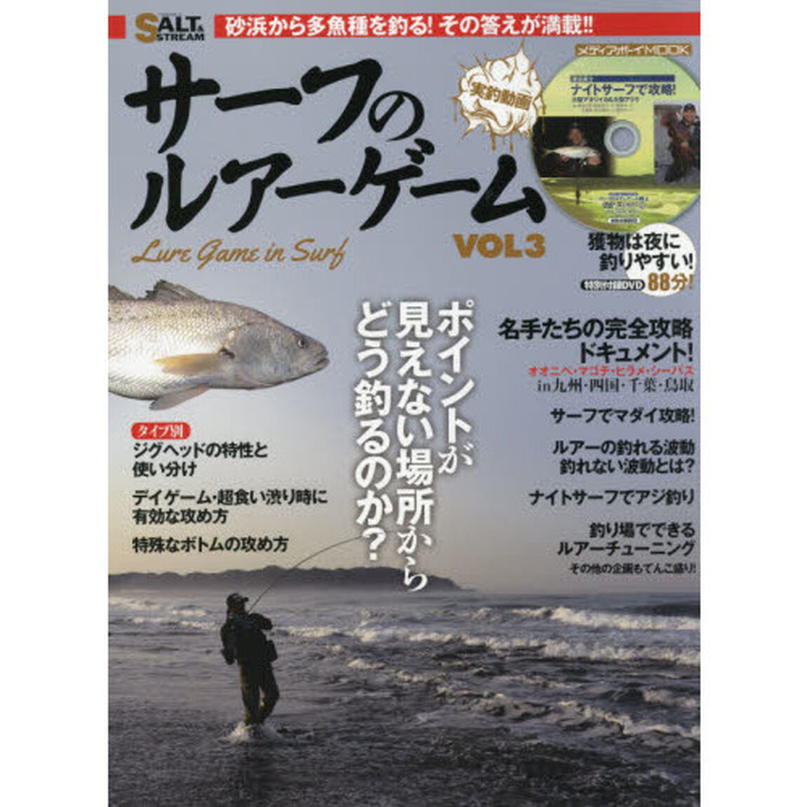サーフのルアーゲーム　ＶＯＬ３「ポイントが見えない場所からどう釣るのか？」