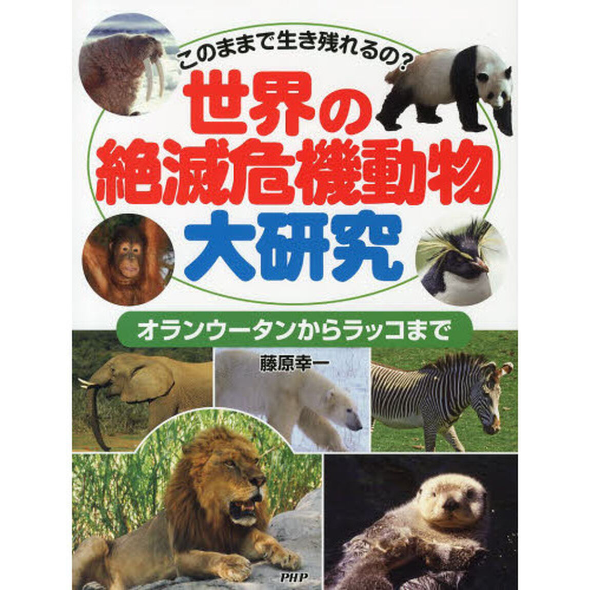 世界の絶滅危機動物大研究　このままで生き残れるの？　オランウータンからラッコまで