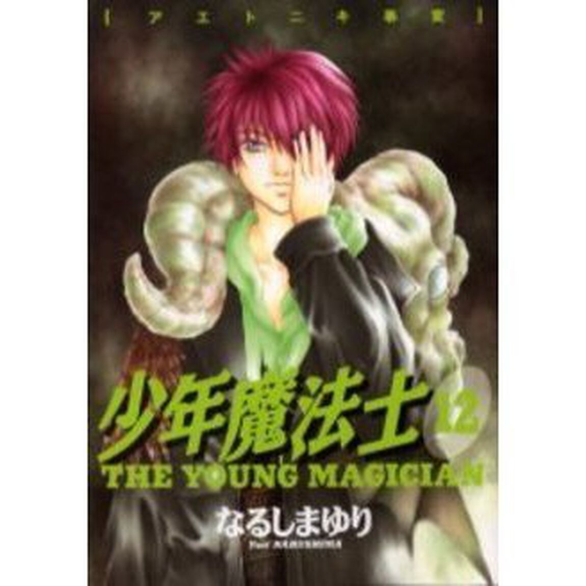 少年魔法士　１２「アエトニキ事変」