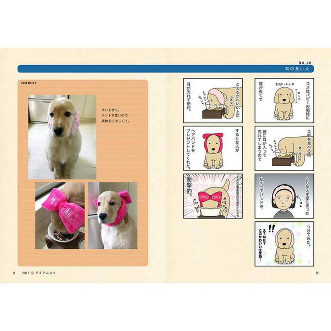 ゴールデンレトリバーのエフとコメとのもっと楽しい暮らし