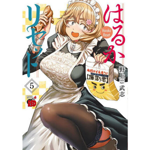 はるかリセット　５