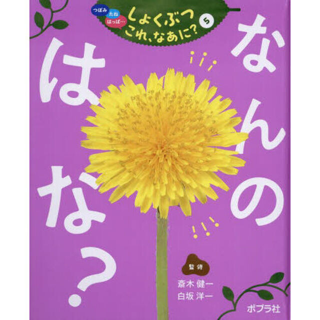 つぼみ　たね　はっぱ&hellip;しょくぶつこれ、なあに？　５「なんのはな？」