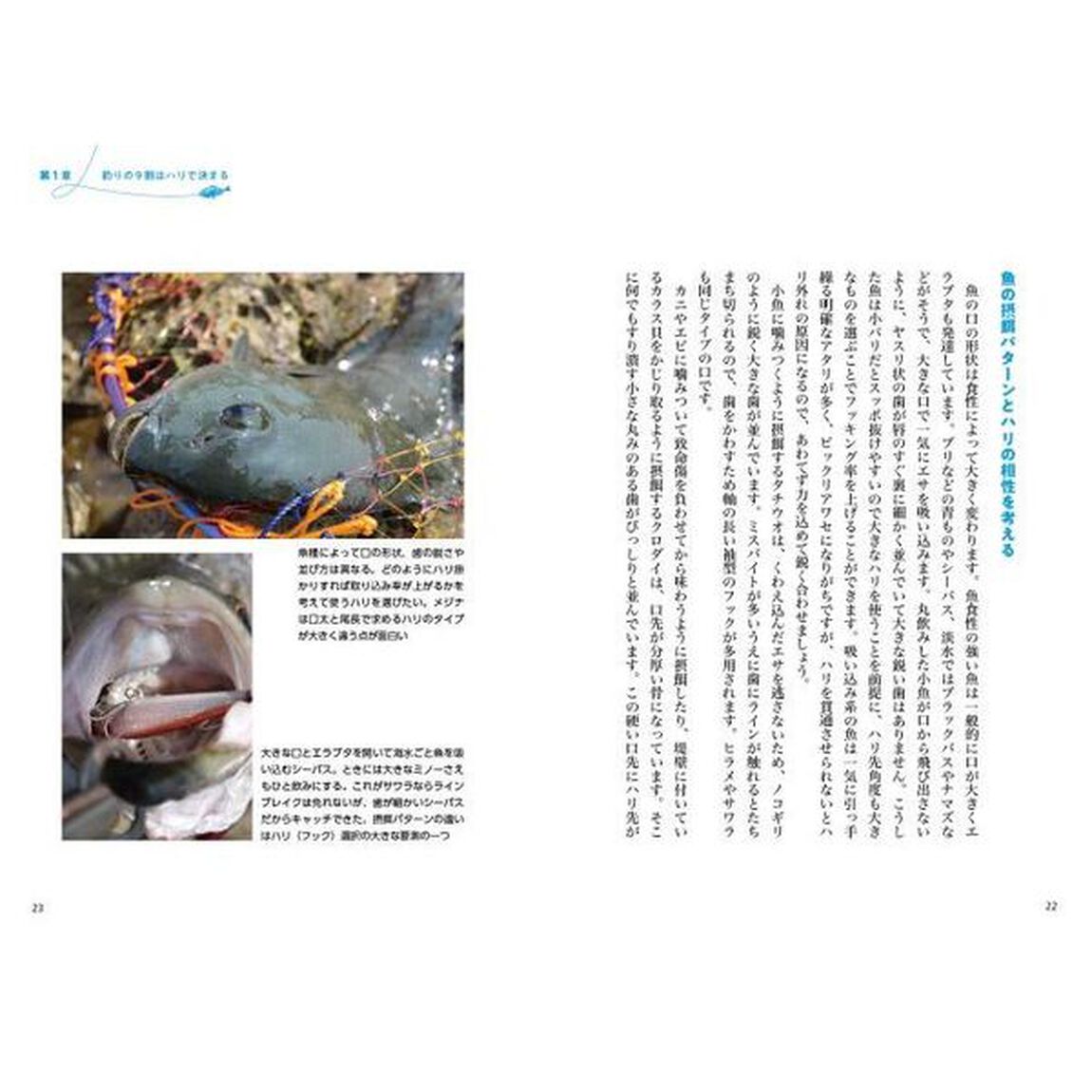 釣りはハリが９割