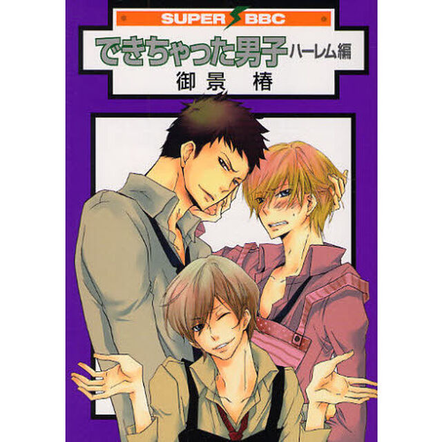 できちゃった男子　　ハーレム編