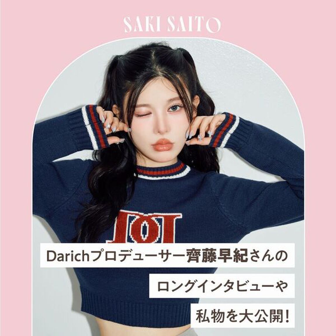 Darich FLUFFY BAG BOOK PINK ver. (宝島社ブランドムック)