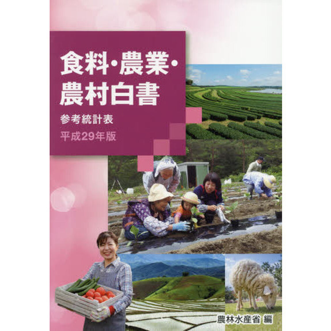 食料・農業・農村白書参考統計表　平成２９年版