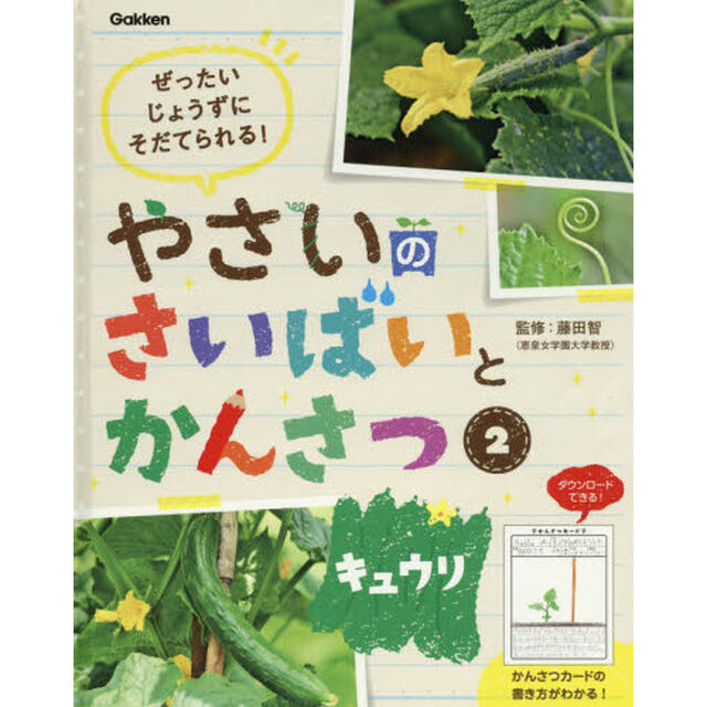やさいのさいばいとかんさつ　ぜったいじょうずにそだてられる！　２「キュウリ」