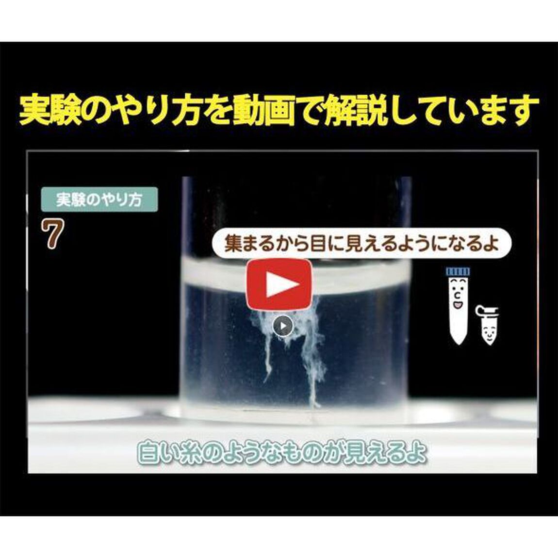 自由研究おたすけキット　ＤＮＡを調べよう