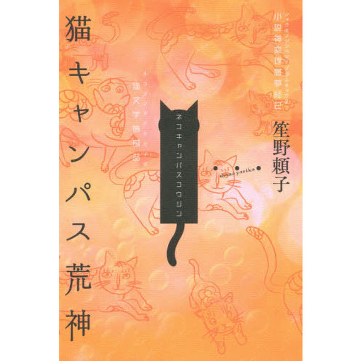 猫キャンパス荒神