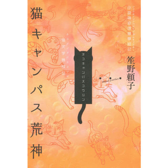 猫キャンパス荒神