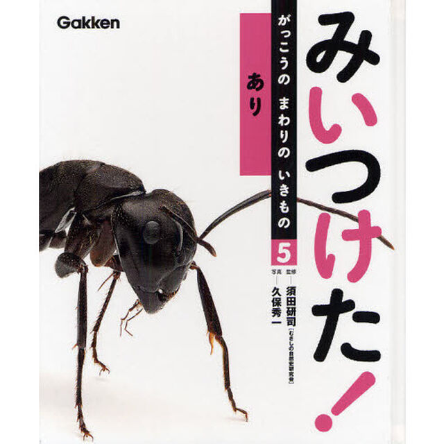 みいつけた！がっこうのまわりのいきもの　５「あり」