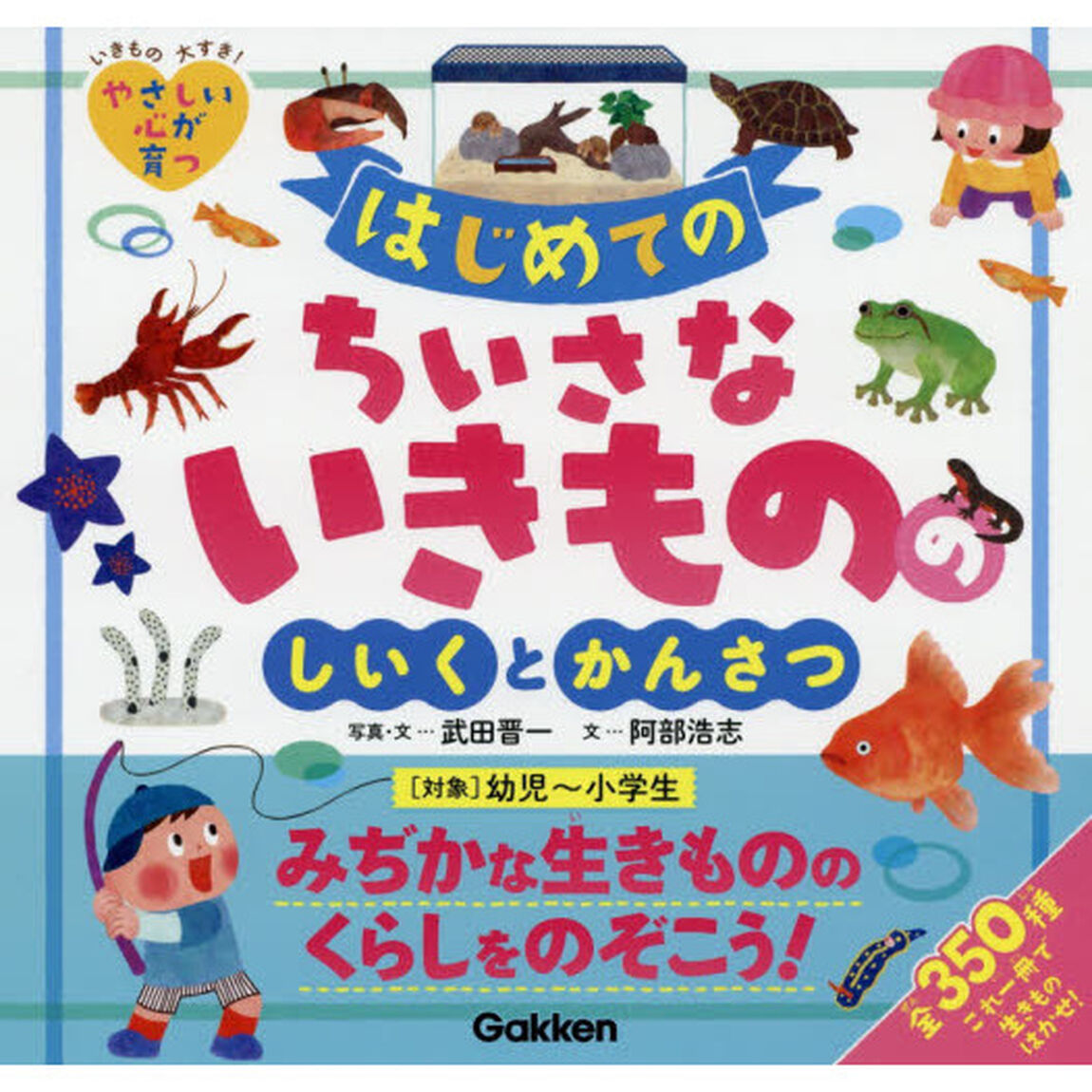はじめてのちいさないきもののしいくとかんさつ　全３５０種