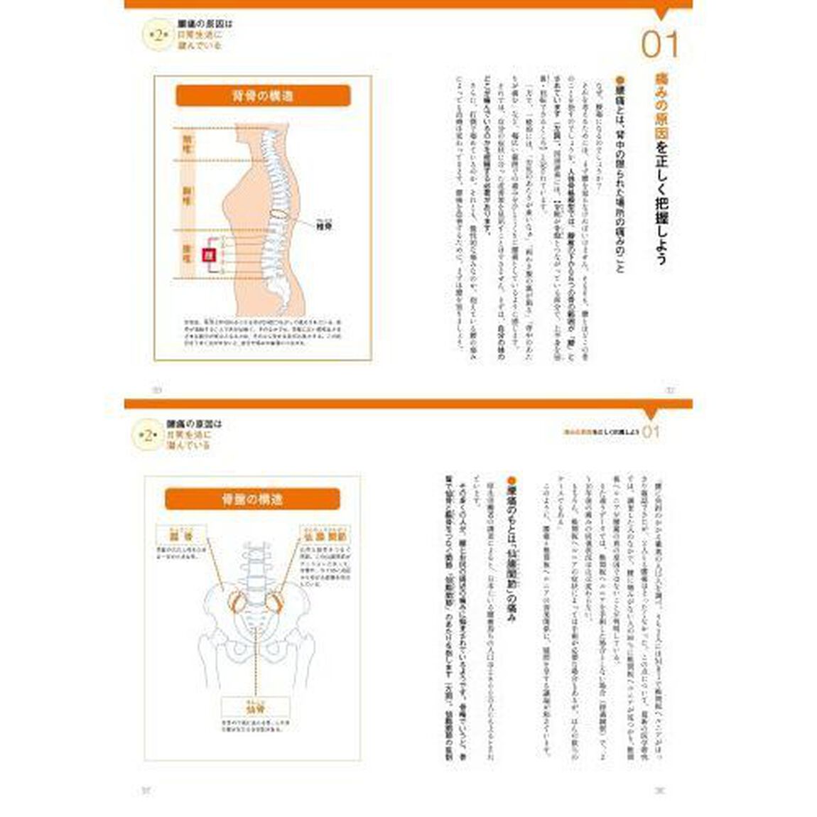 足指をまげるだけで腰痛は治る！