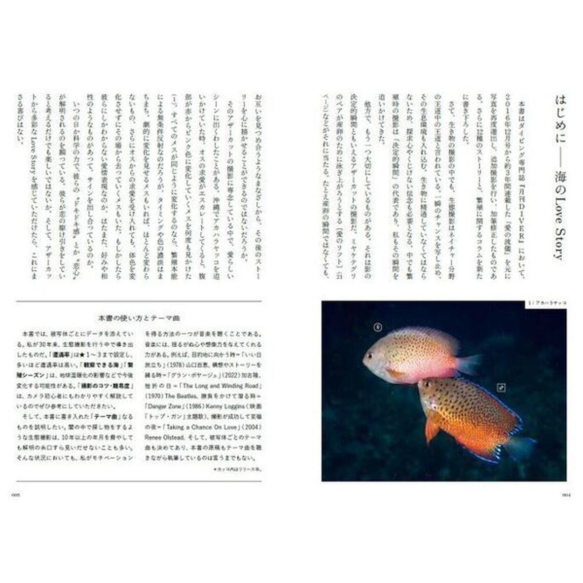 海の生き物が魅せる愛の流儀
