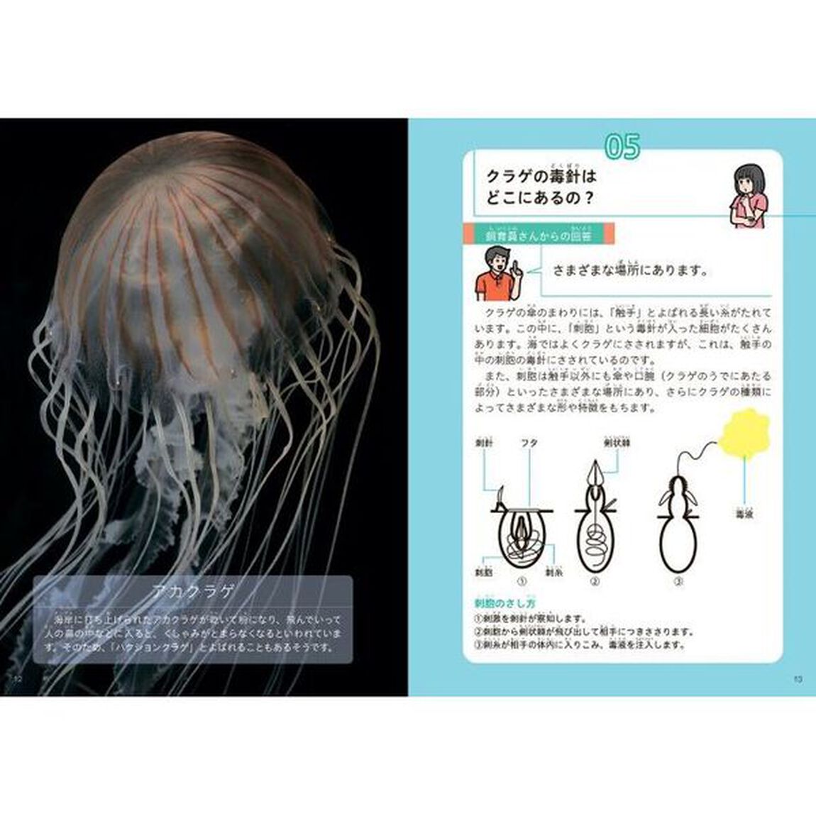教えて！クラゲのほんと　世界一のクラゲ水族館が答える１００の質問