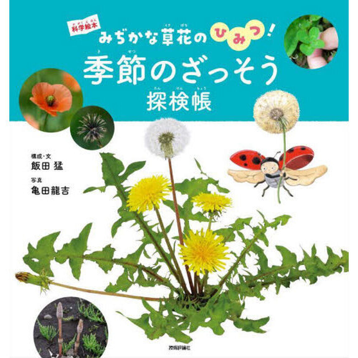 季節のざっそう探検帳　みぢかな草花のひみつ！