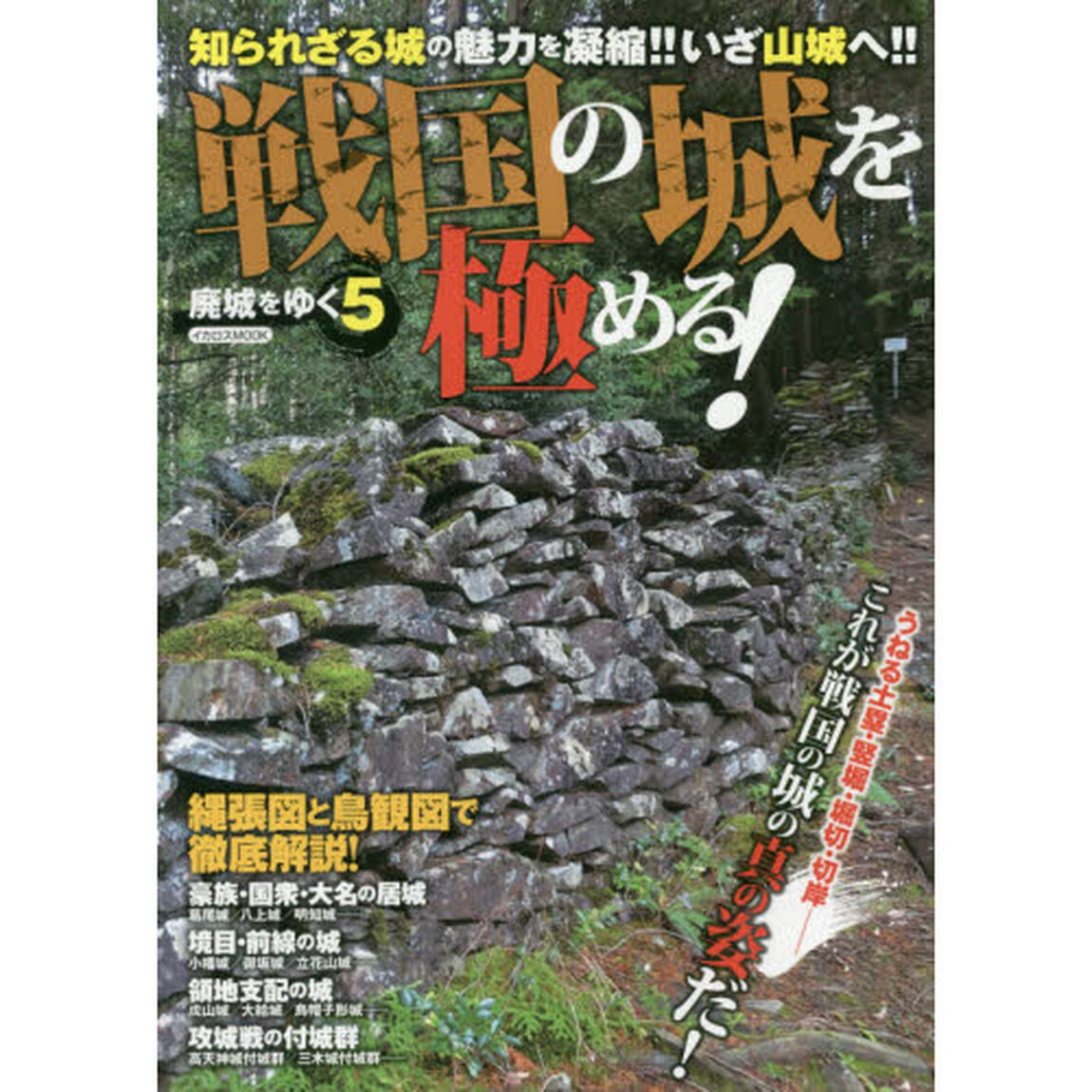 廃城をゆく　５「戦国の城を極める！　縄張図と鳥観図で徹底解説！」