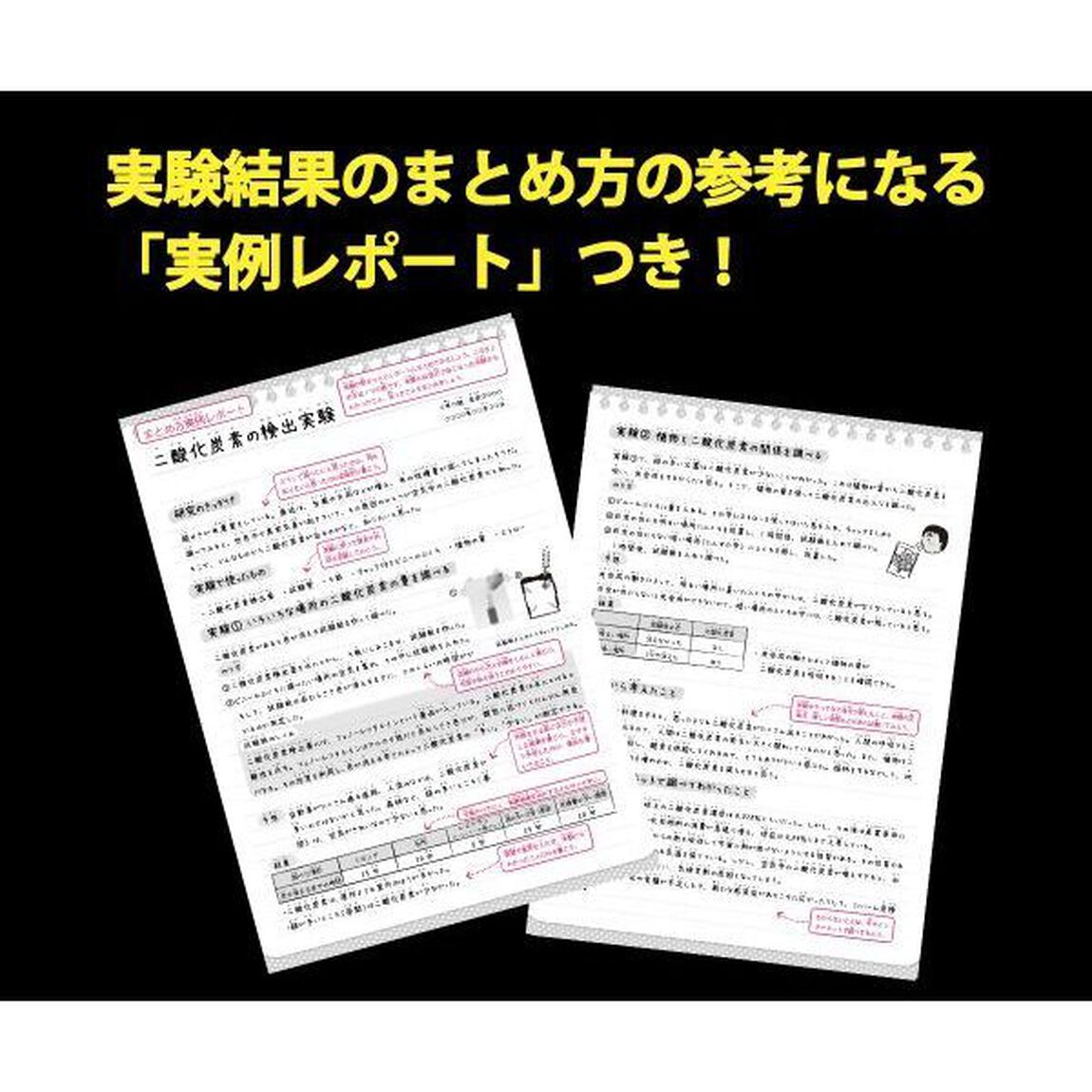 自由研究おたすけキット　二酸化炭素を調べ