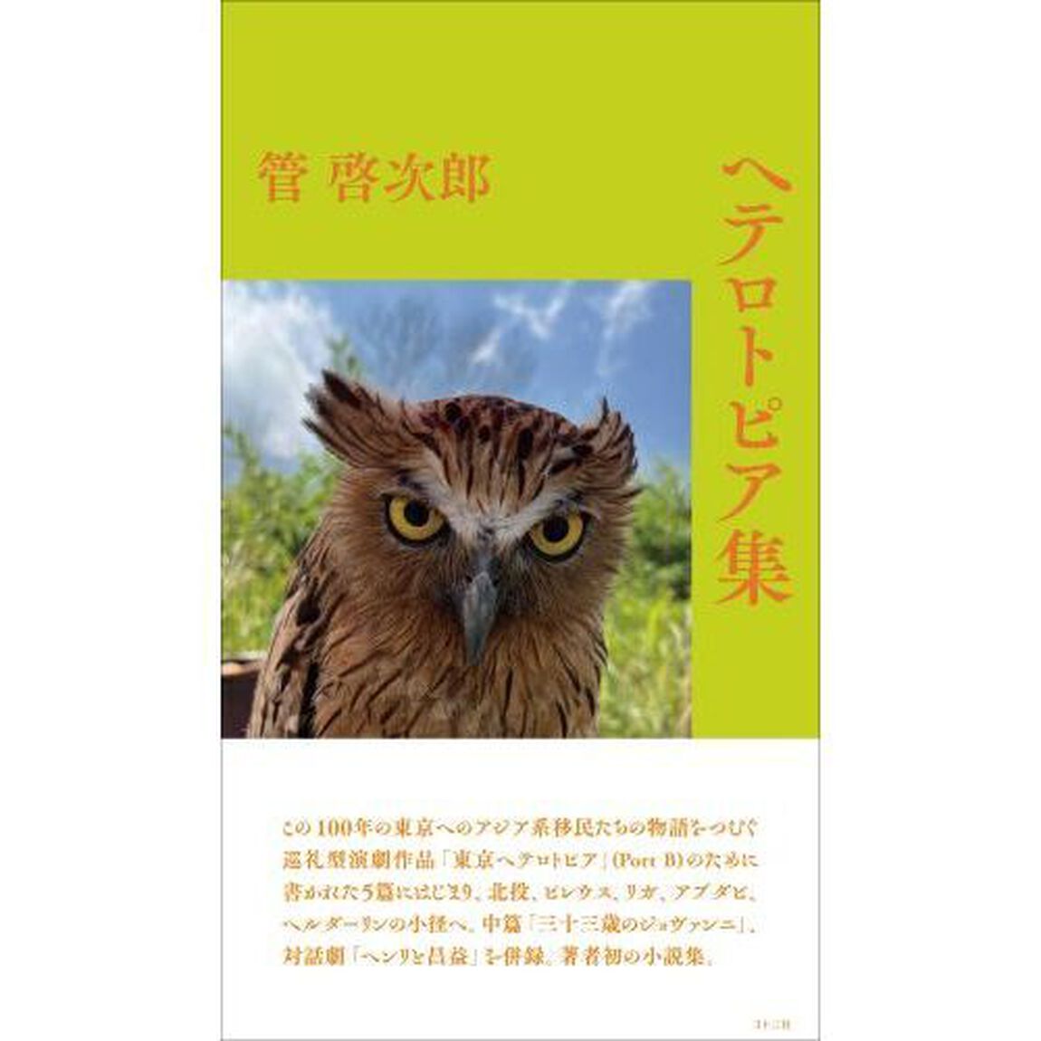 ヘテロトピア集
