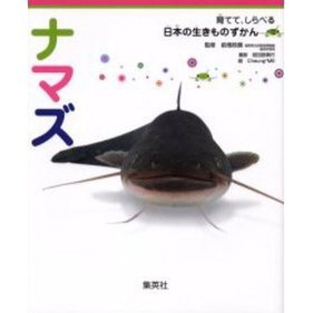 ナマズ
