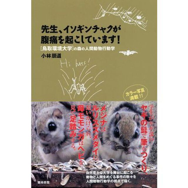 先生、イソギンチャクが腹痛を起こしています！