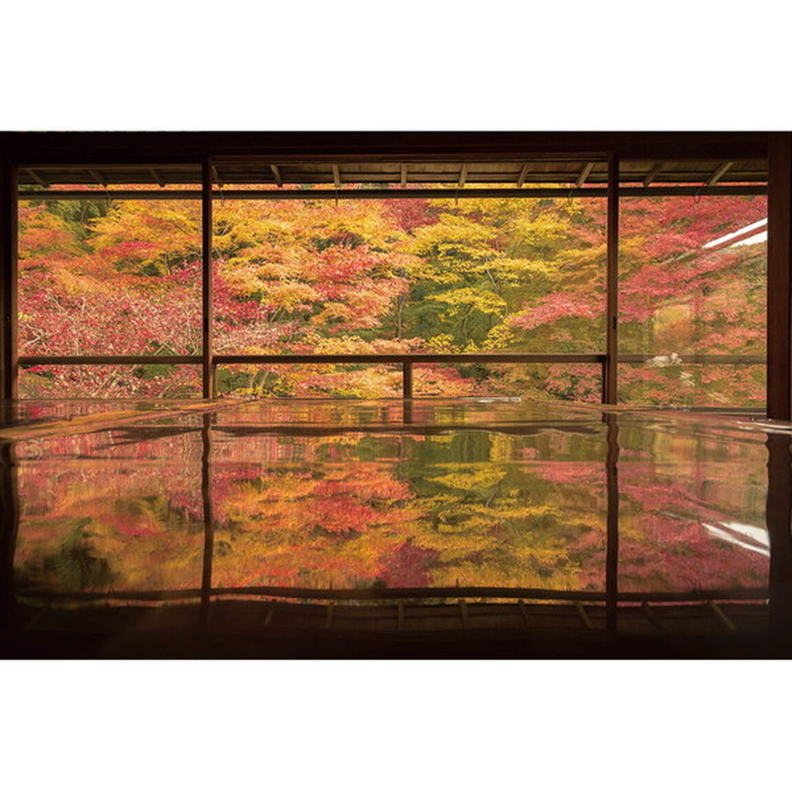 関西から行く！奇跡の絶景紅葉に出会う旅