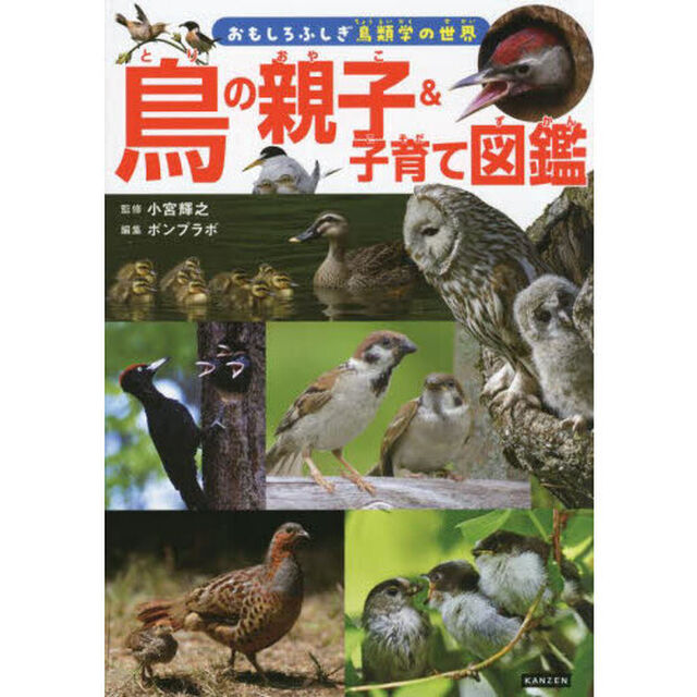 鳥の親子＆子育て図鑑