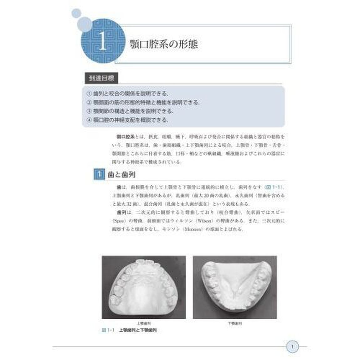 顎口腔機能学