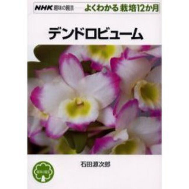 デンドロビューム