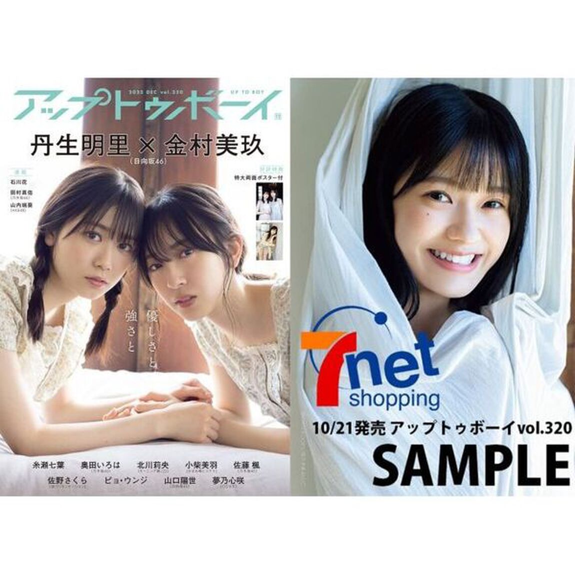 アップトゥボーイ 2022年12月号【セブンネット限定特典：奥田いろは（乃木坂46）ポストカード1枚付き】