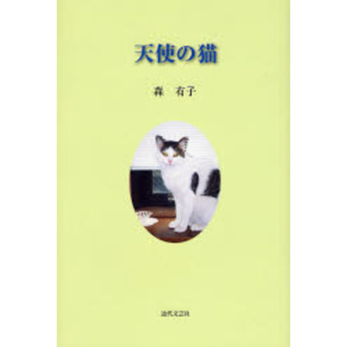 天使の猫
