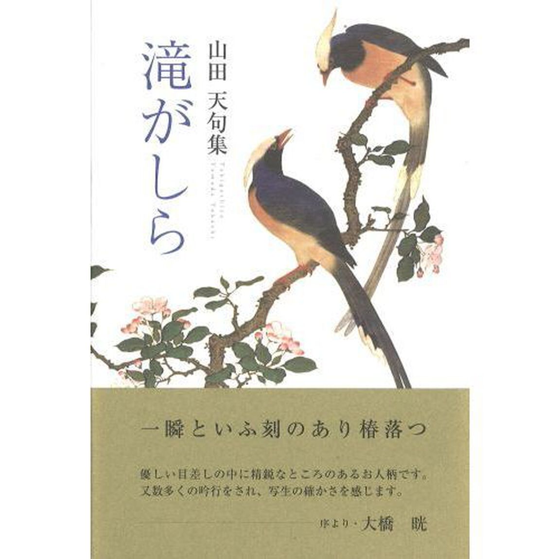 滝がしら　山田天句集