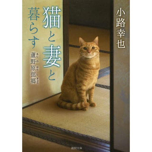 猫と妻と暮らす　蘆野原偲郷
