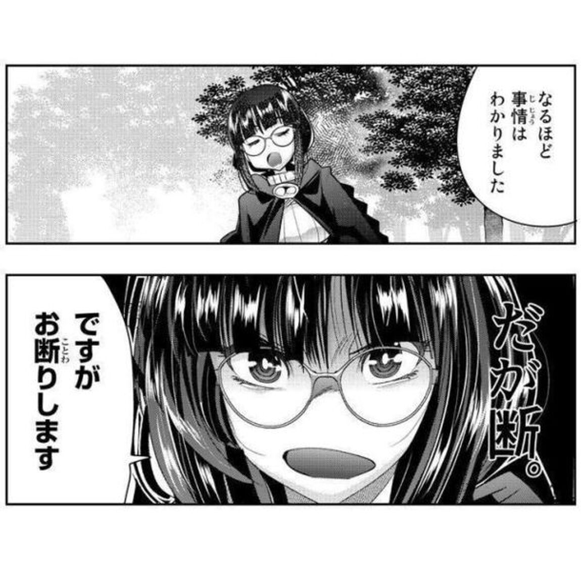 よくわからないけれど異世界に転生していたようです 12