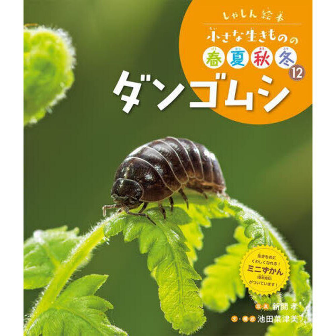 小さな生きものの春夏秋冬　しゃしん絵本　１２「ダンゴムシ」
