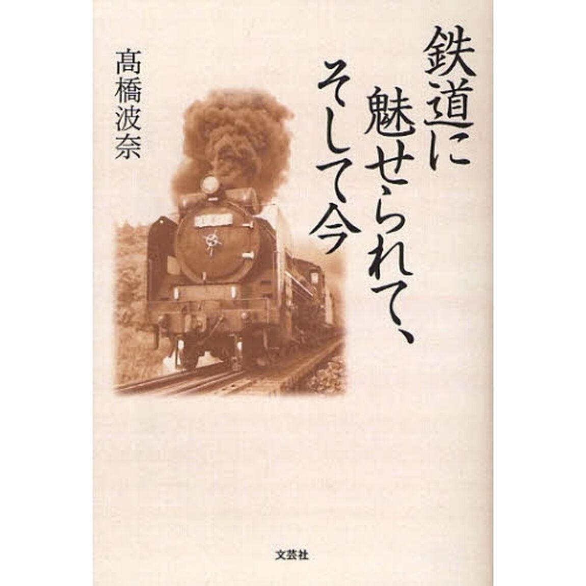 鉄道に魅せられて、そして今