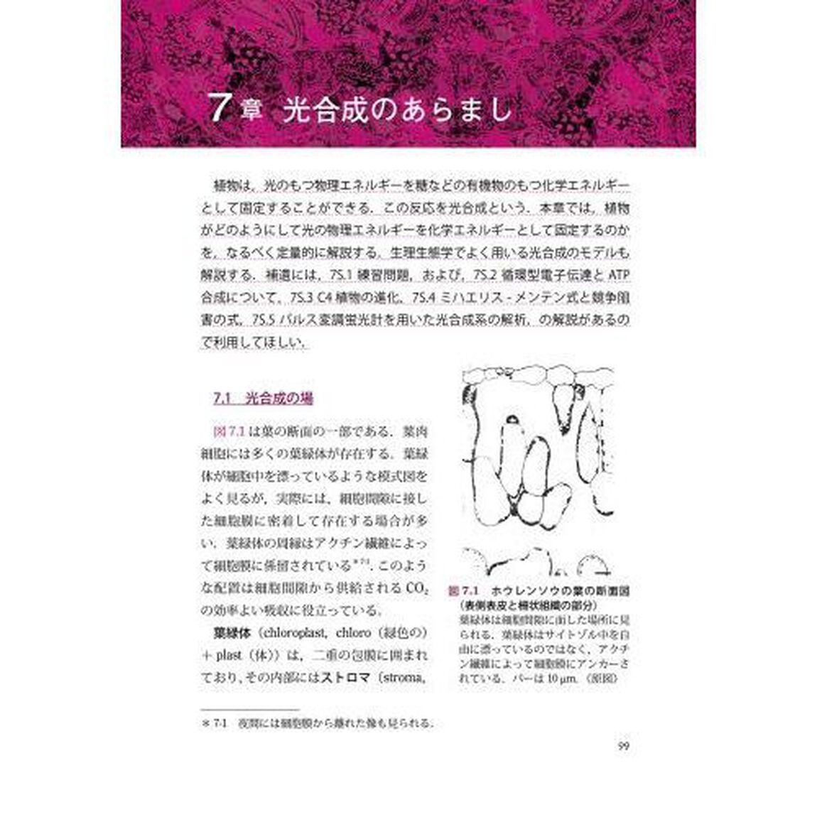 植物の生態　生理機能を中心に「改訂版」