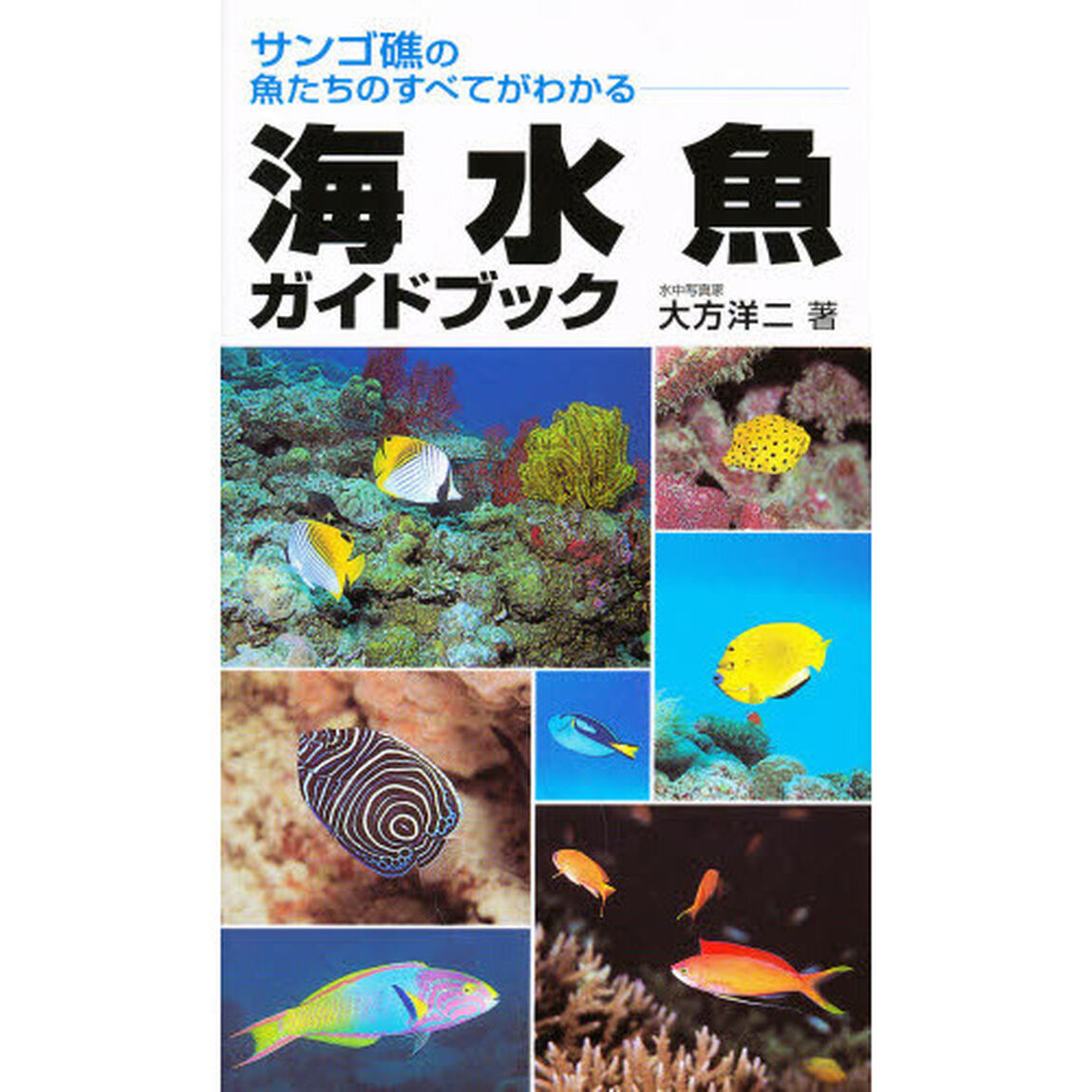 海水魚ガイドブック　サンゴ礁の魚たちのすべてがわかる