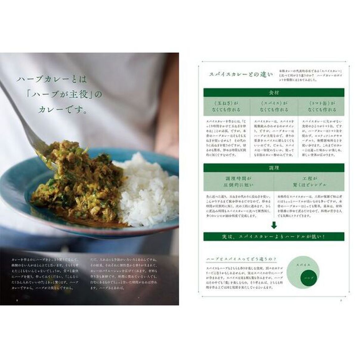 ハーブカレー　やさしい！さわやか！新感覚！