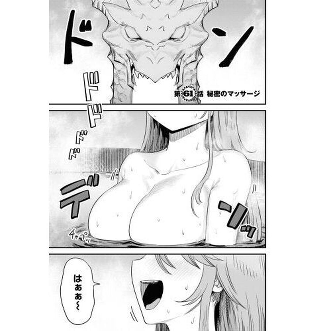 回復術士のやり直し　１５