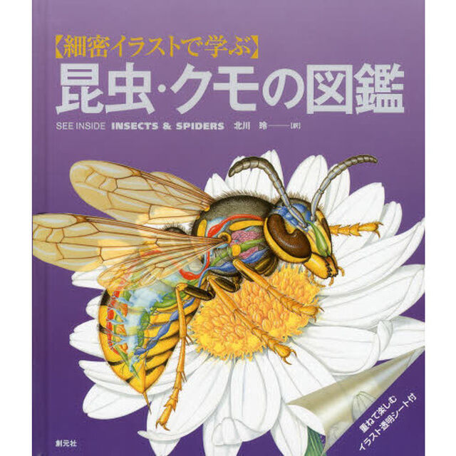 〈細密イラストで学ぶ〉昆虫・クモの図鑑