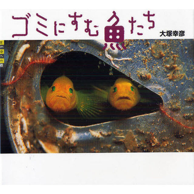 ゴミにすむ魚たち